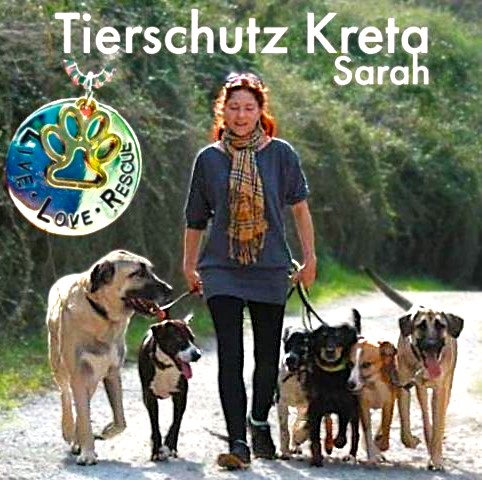 Sarah – Tierschutz Kreta mit Hunden